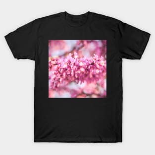 Shades of pink I T-Shirt